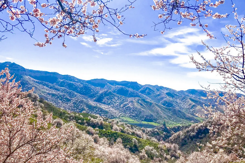 天山之春8天_22