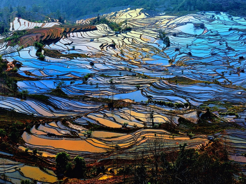 老虎嘴梯田 (1)